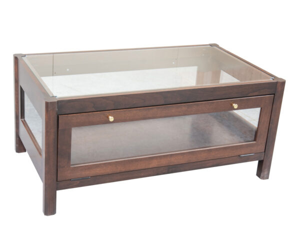 Coffee Table Display Case